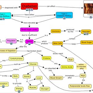 Diabetes Info - Cure For Diabetes - Is The Pancreatic Islet Transplantation A Feasible Cure For Diabetes?