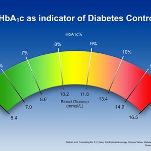 Food For Diabetics - Diabetes Reversal Report Review &Amp;Gt;&Amp;Gt; Don&Amp;#039;T Even Think About Taking More Drugs Until You Read This!