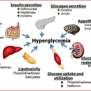 Diabetes News Articles - Diabetes Reversal Report Review &Amp;Gt;&Amp;Gt; Don&Amp;#039;T Even Think About Taking More Drugs Until You Read This!